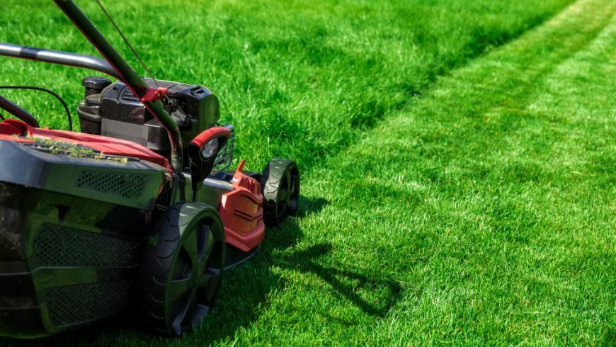 Lawns with short grass turn into lifeless deserts.
