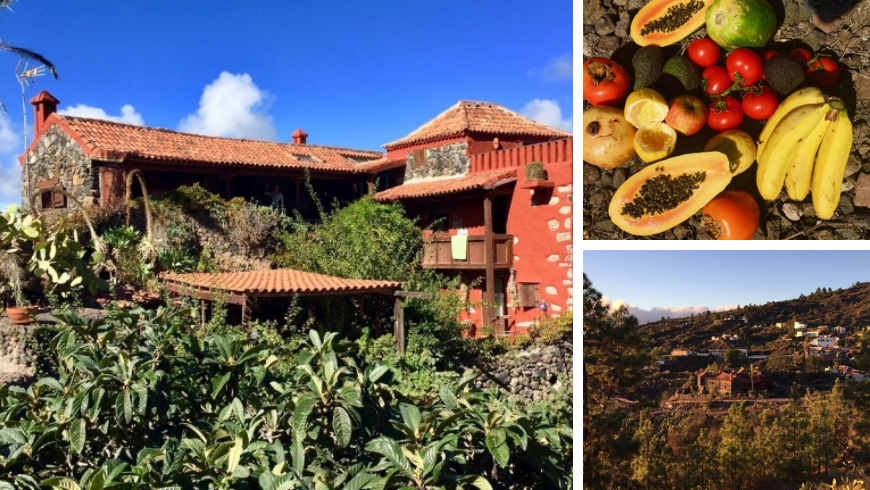 Casa Rural La Tanquilla: an ecological finca in the mountain village of Aripe