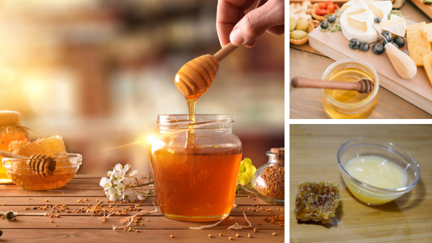 Tastings and workshops dedicated to bees and pollinating insects