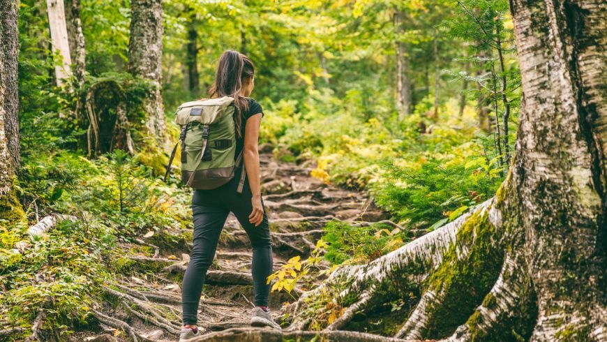 Visitors on a marked path, respecting natural habitats and wildlife