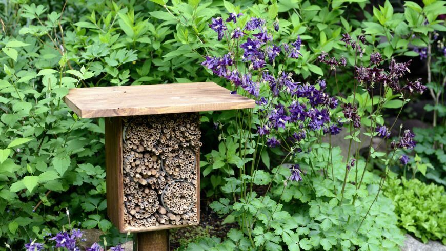 bee hotel, insect hotel