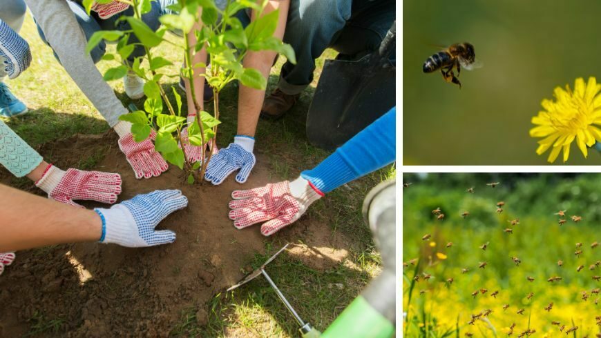 bee trek is a path that grows together with local communities