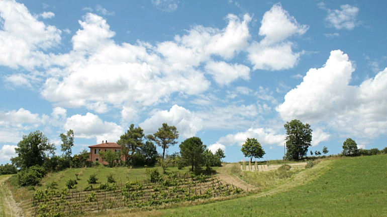Rural holiday near Urbino