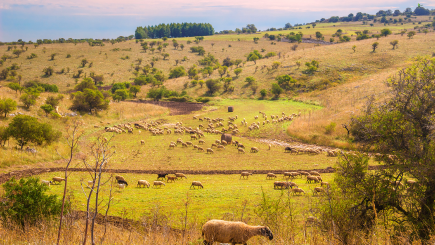 Alta Murgia National Park