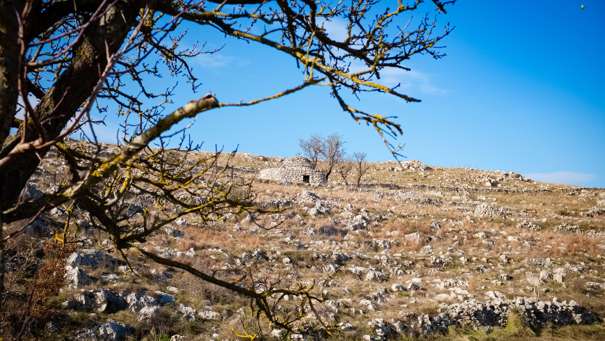 Landscapes of Alta Murgia