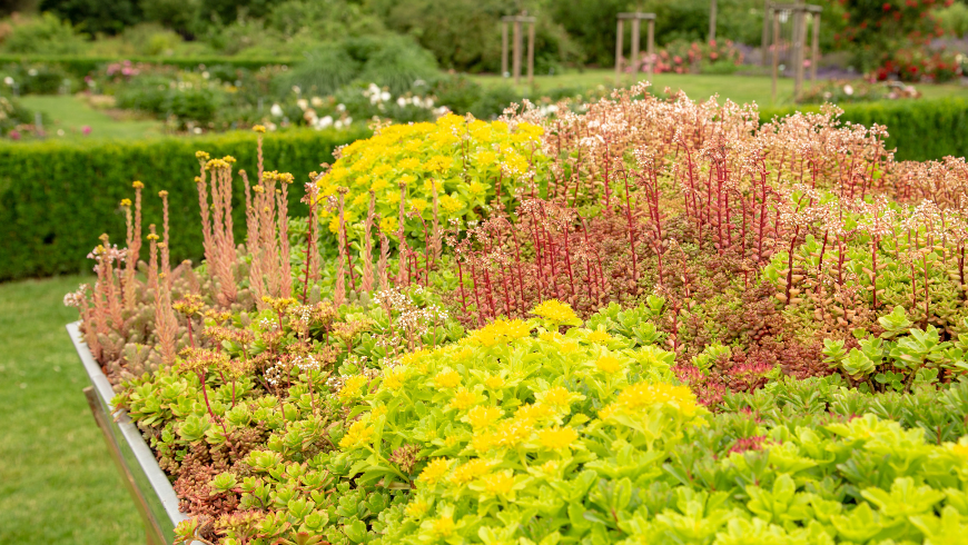 green roofs