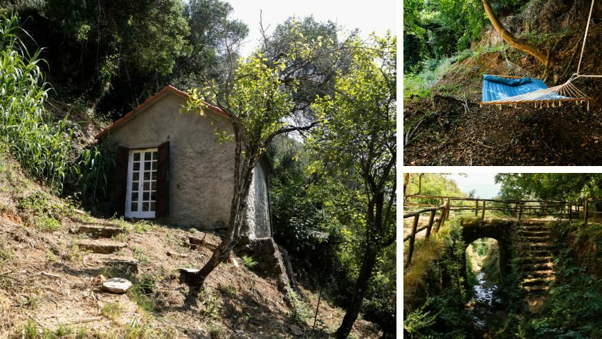 Nature around the Hermitage