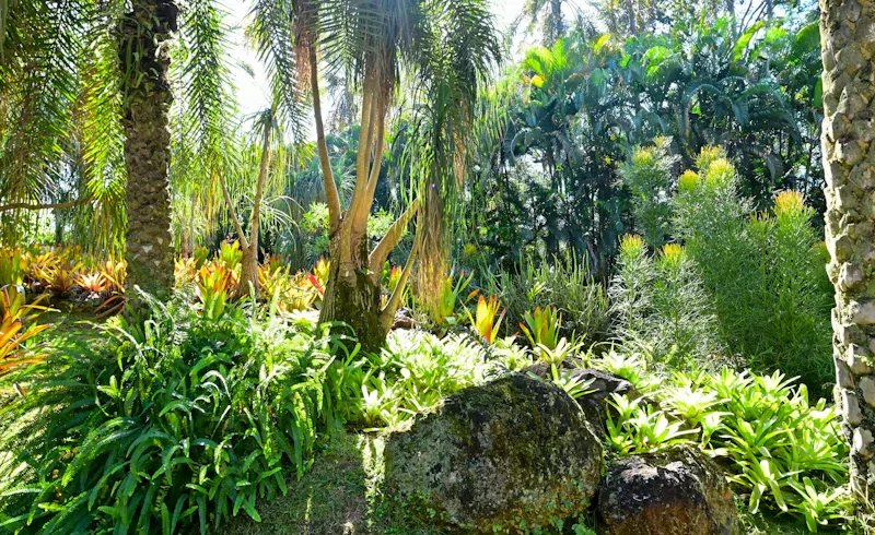Garden rich of different plants