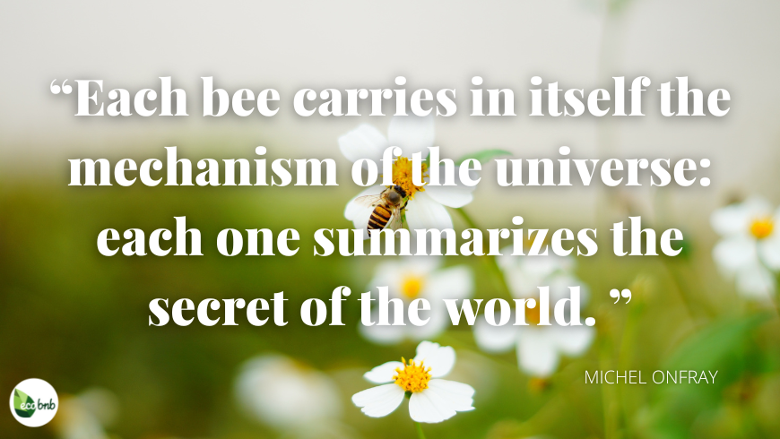 Each bee carries in itself the mechanism of the universe: each one summarizes the secret of the world.
(Michel Onfray)
