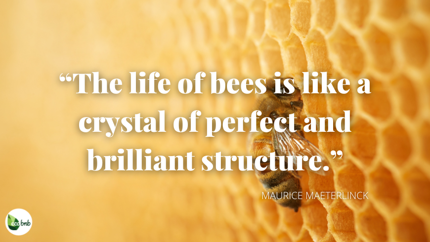 The life of bees is like a crystal of perfect and brilliant structure.