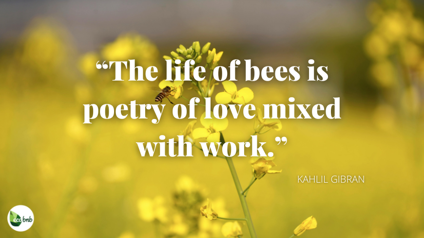 The life of bees is like a crystal of perfect and brilliant structure
