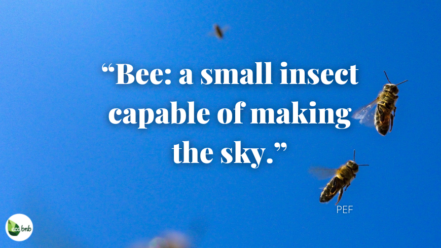 Bee: small insect capable of making the sky.
