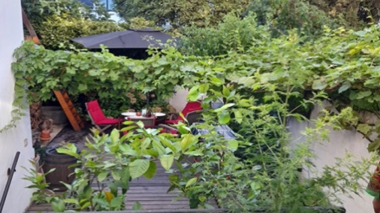 A sustainable stay in Bonn