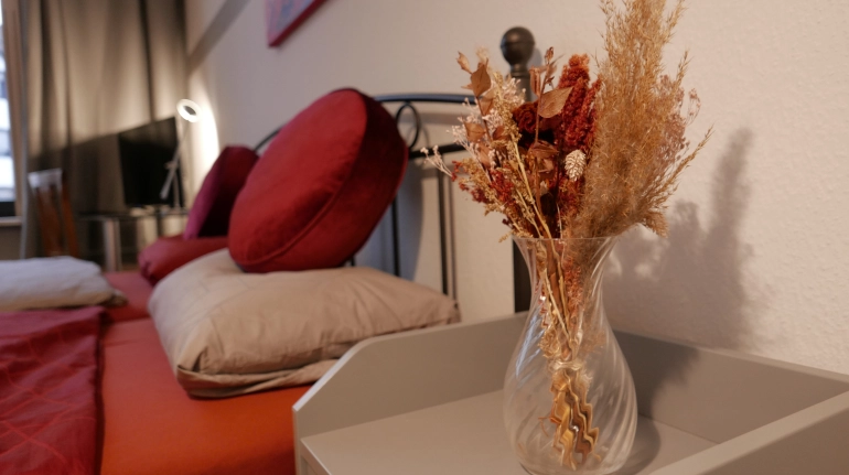 Green apartment in the center of Bonn
