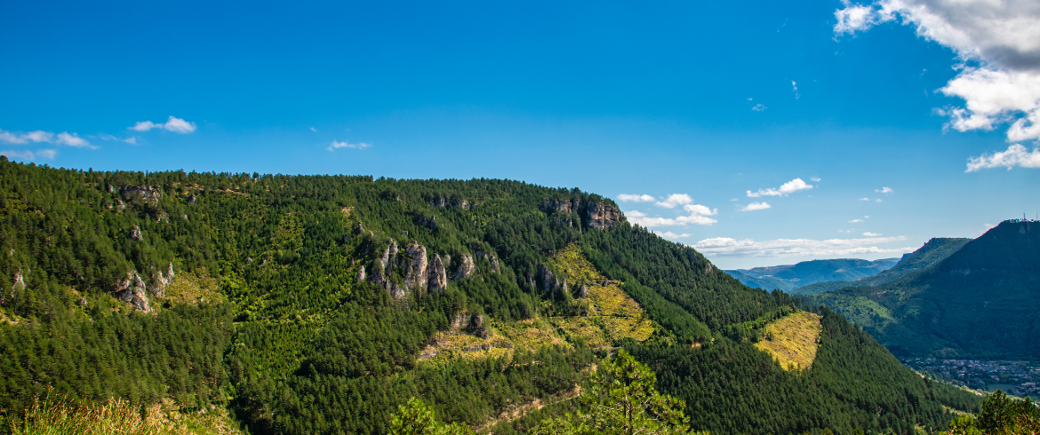 Cévennes National Park: A Green Escape in France - Ecobnb