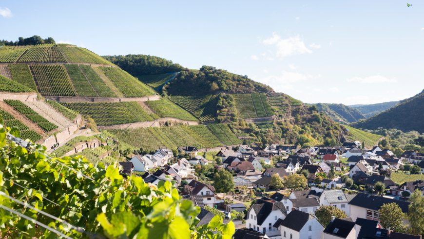Ahr Valley