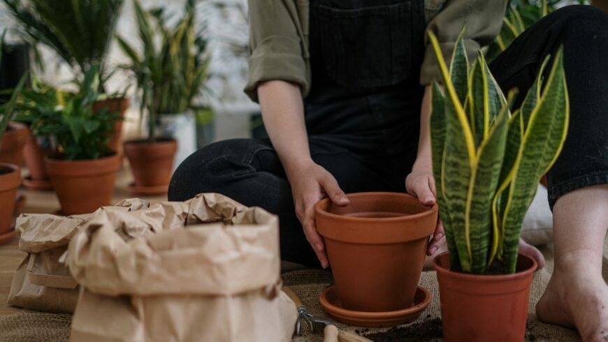 person in gray t-shirt and blue denim jeans sitting on brown-clay pot
