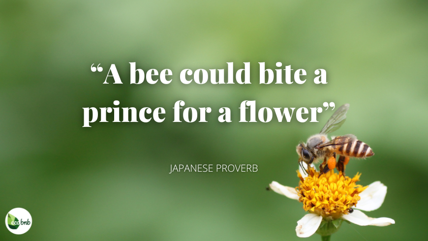 A bee could bite a prince for a flower.
Proverb about bees