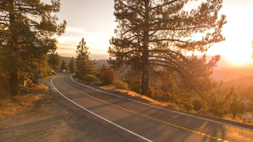California road, pines, sunset