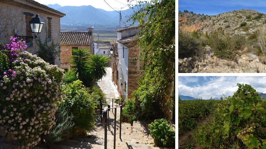 Finca EcoVida: Where a Ruin Became a Model for Green Living