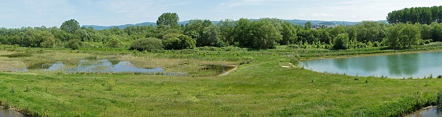Green Belt surrounding the city