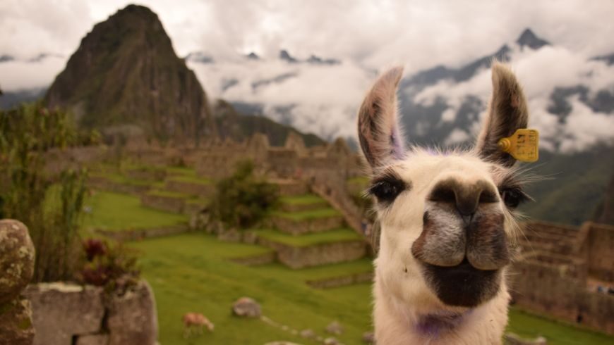 Machu Picchu
