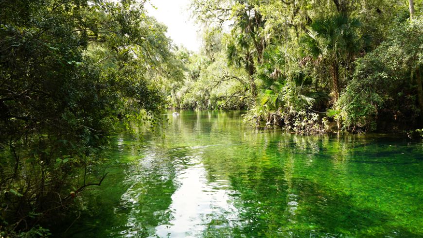 Blue Spring State Park