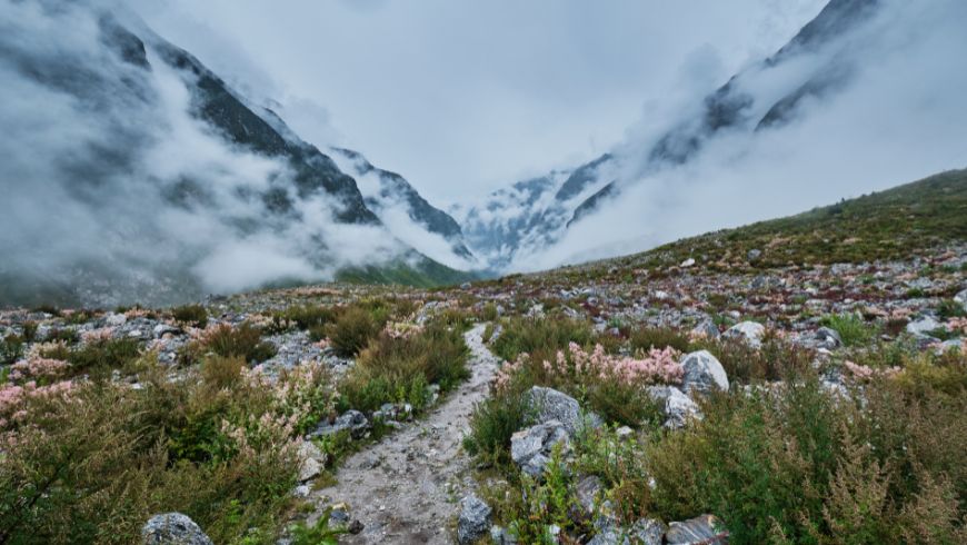 Langtang Valley Trekking with a local guide