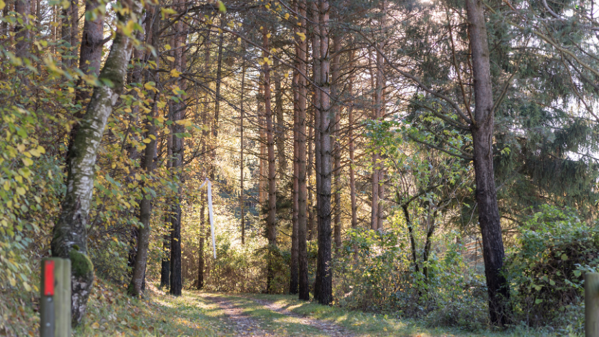 5 hiking trails in Val di Gresta, Trentino