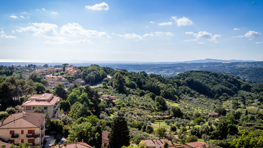 View from Montescudaio
