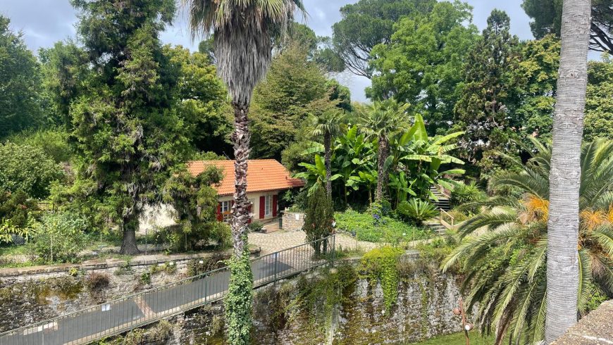 Botanical garden from above