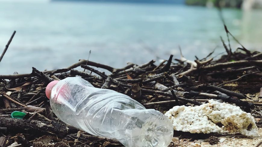 Plastic bottle, plastic waste, branches on a beach, mountains, sea