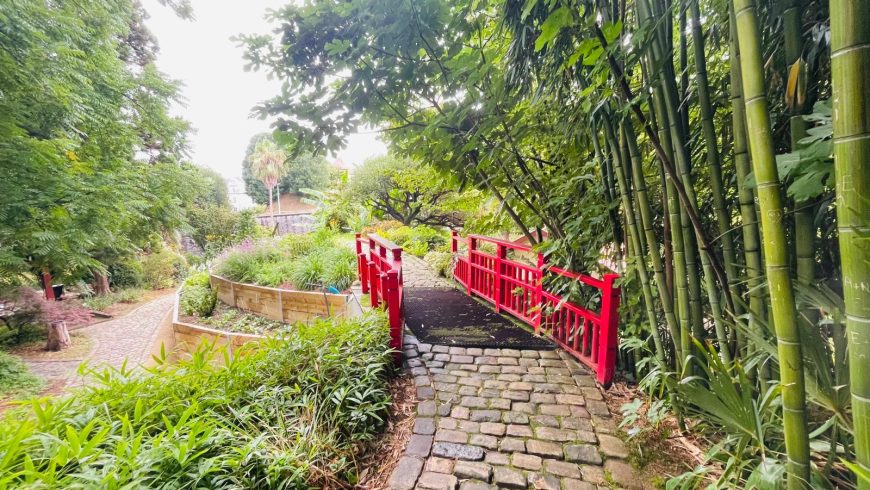 Japanese bridge in Bayonne's botanical garden