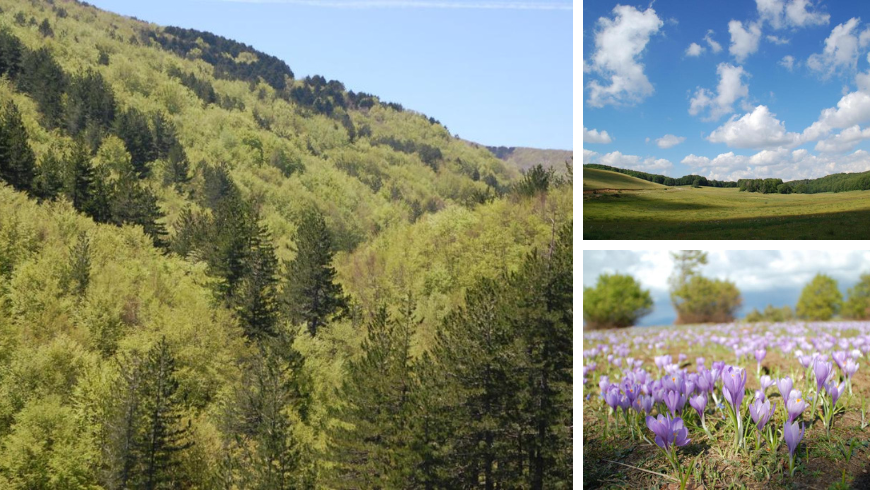 Fairytale landscapes of Sila