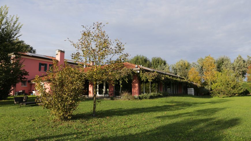Settecentoalberi, an organic farm in Veneto