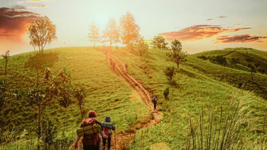 The Path of Saint Francis