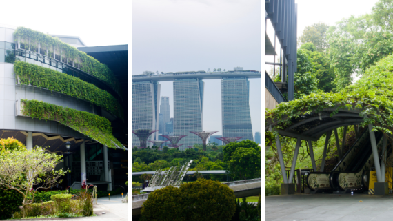 How Singapore Leads the World in Sustainable Urban Innovation - How Singapore Leads The World In Sustainable Urban Innovation