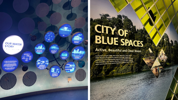 How Singapore Leads the World in Sustainable Urban Innovation
