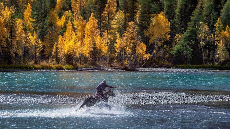 Person riding a horse through river, blue water, yellow trees, aspens, conifers