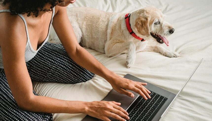 A person types on a laptop while a dog rests nearby.