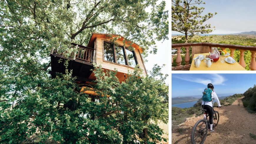Treehouse, organic breakfast, and slow itineraries