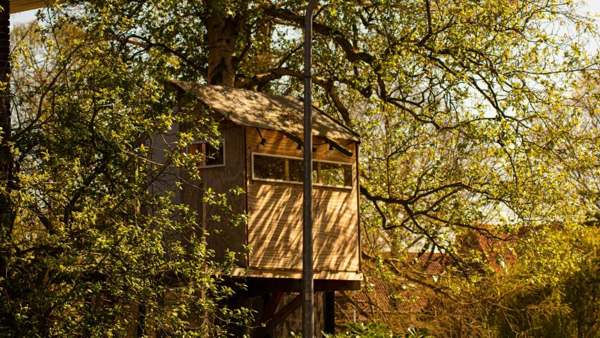 Wooden tree house as an alternative accommodation