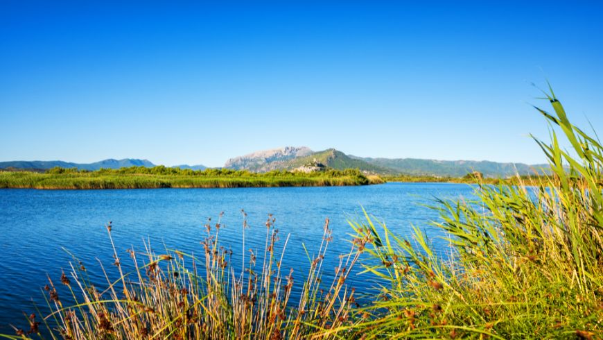 Protected area of Tepilòra - Sant’Anna - Rio Posada, UNESCO Biosphere Reserve