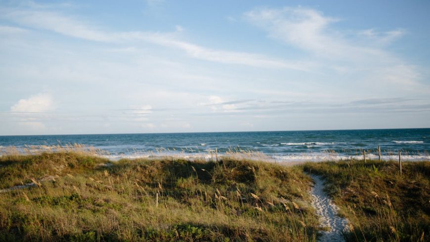 Green grass on the ocean coast.