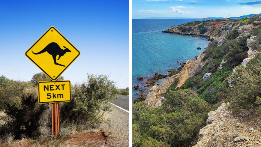 Kangaroo Crossing Sign in Australia and Scenic Coastal Cliff View Overlooking Blue Sea 
