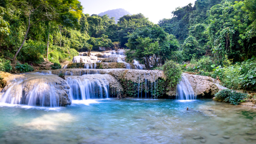 nature in the Amazon rainforest