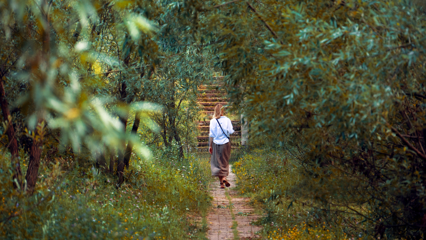 walk among centuries-old olive trees in Italy