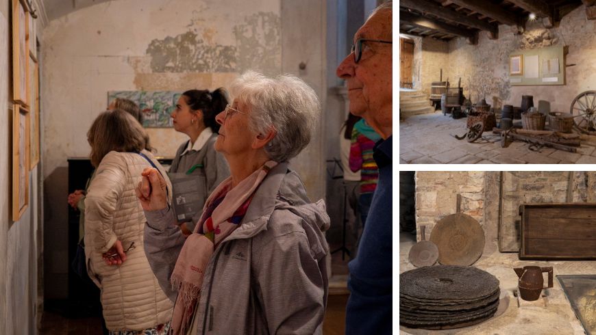 Guided group visits at the Little Oil Museum of Reggello, Tuscany