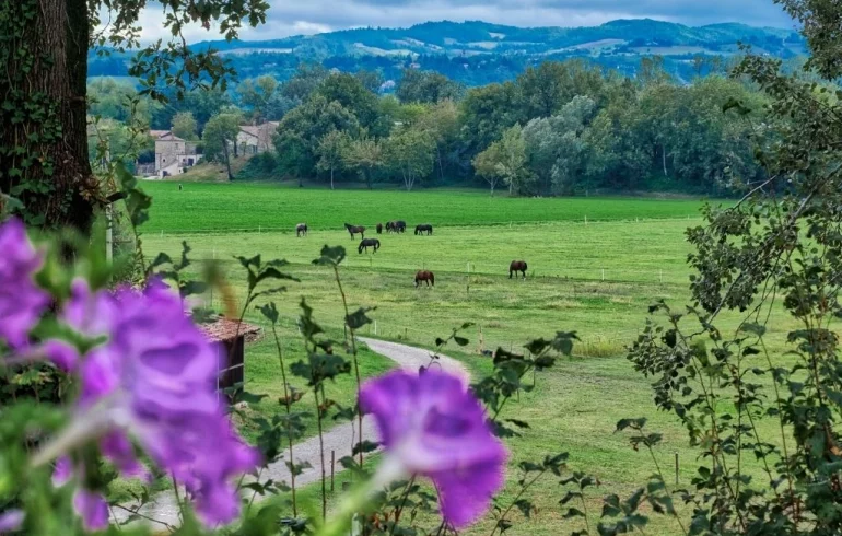 Horseback riding in the Trebbia Valley