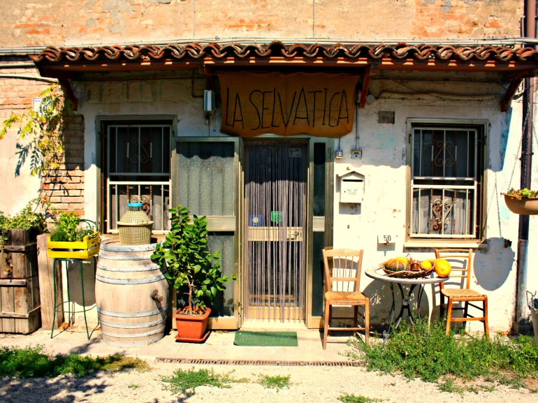 B&B La Selvatica, in the Modena countryside